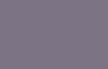 Однотонные фиолетовые обои (фон) Loymina 77 Colors C4 07